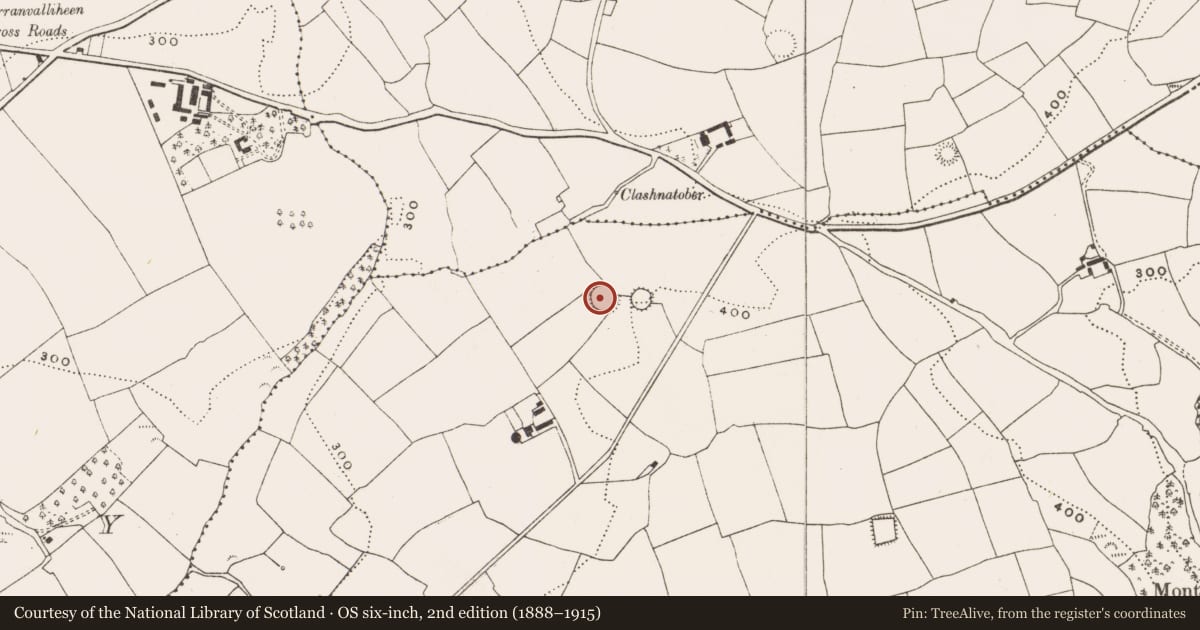 Ordnance Survey six-inch map, 2nd edition (1888–1915) covering the location of Ringfort - rath, Monteen, County Cork, with a pin at the register's coordinates