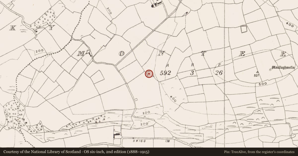 Ordnance Survey six-inch map, 2nd edition (1888–1915) covering the location of Moated site, Monteen, County Cork, with a pin at the register's coordinates