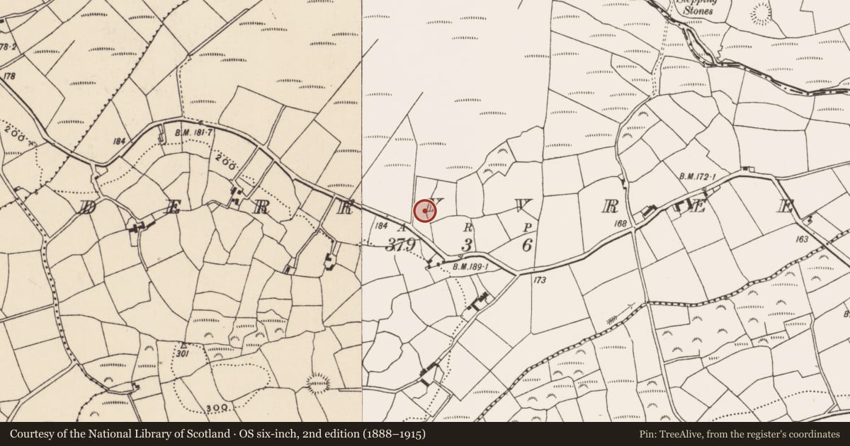 Ordnance Survey six-inch map, 2nd edition (1888–1915) covering the location of Fulacht fia, Derryvreen, County Cork, with a pin at the register's coordinates