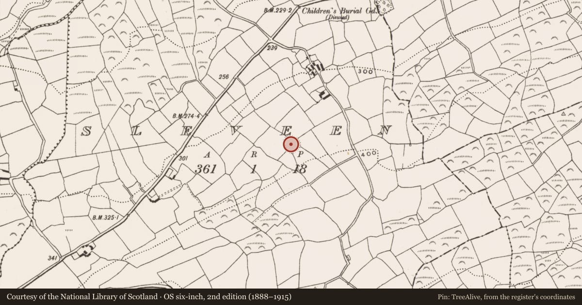 Ordnance Survey six-inch map, 2nd edition (1888–1915) covering the location of Ringfort - rath, Sleveen, County Cork, with a pin at the register's coordinates