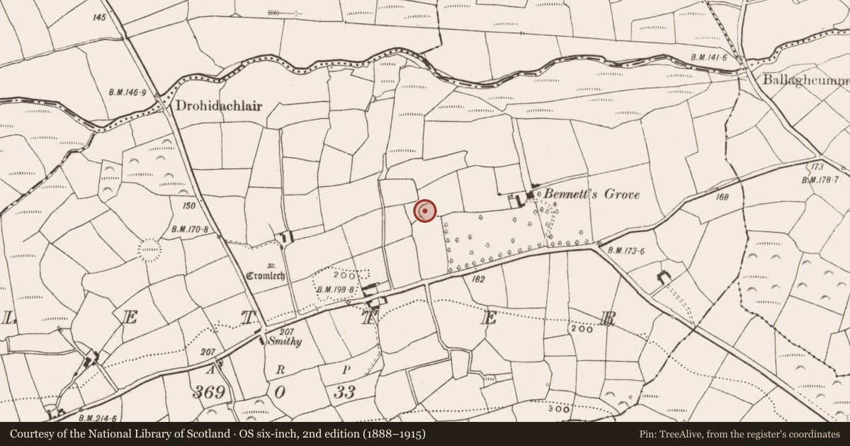 Ordnance Survey six-inch map, 2nd edition (1888–1915) covering the location of Ringfort - rath, Letter, County Cork, with a pin at the register's coordinates