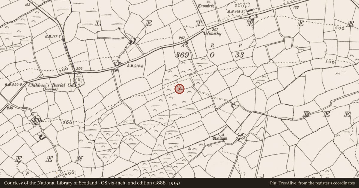 Ordnance Survey six-inch map, 2nd edition (1888–1915) covering the location of Ringfort - rath, Letter, County Cork, with a pin at the register's coordinates