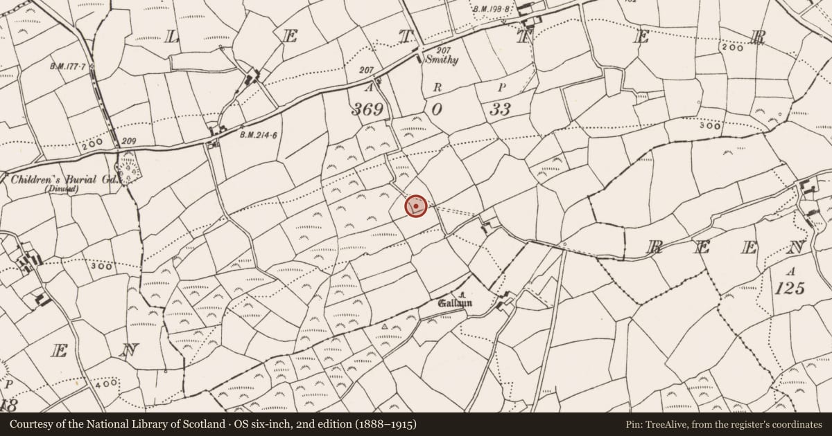 Ordnance Survey six-inch map, 2nd edition (1888–1915) covering the location of Standing stone, Letter, County Cork, with a pin at the register's coordinates