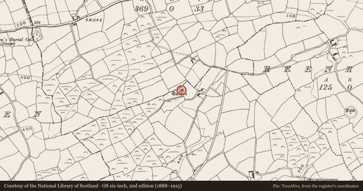 Ordnance Survey six-inch map, 2nd edition (1888–1915) covering the location of Standing stone, Cashelisky, County Cork, with a pin at the register's coordinates