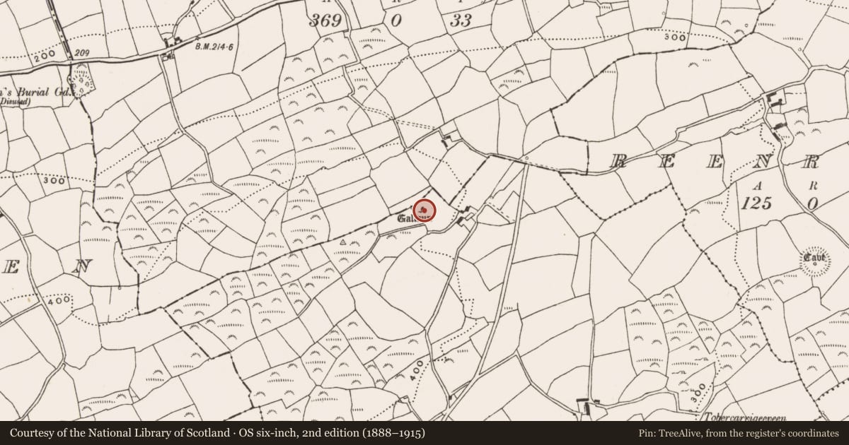 Ordnance Survey six-inch map, 2nd edition (1888–1915) covering the location of Standing stone, Cashelisky, County Cork, with a pin at the register's coordinates