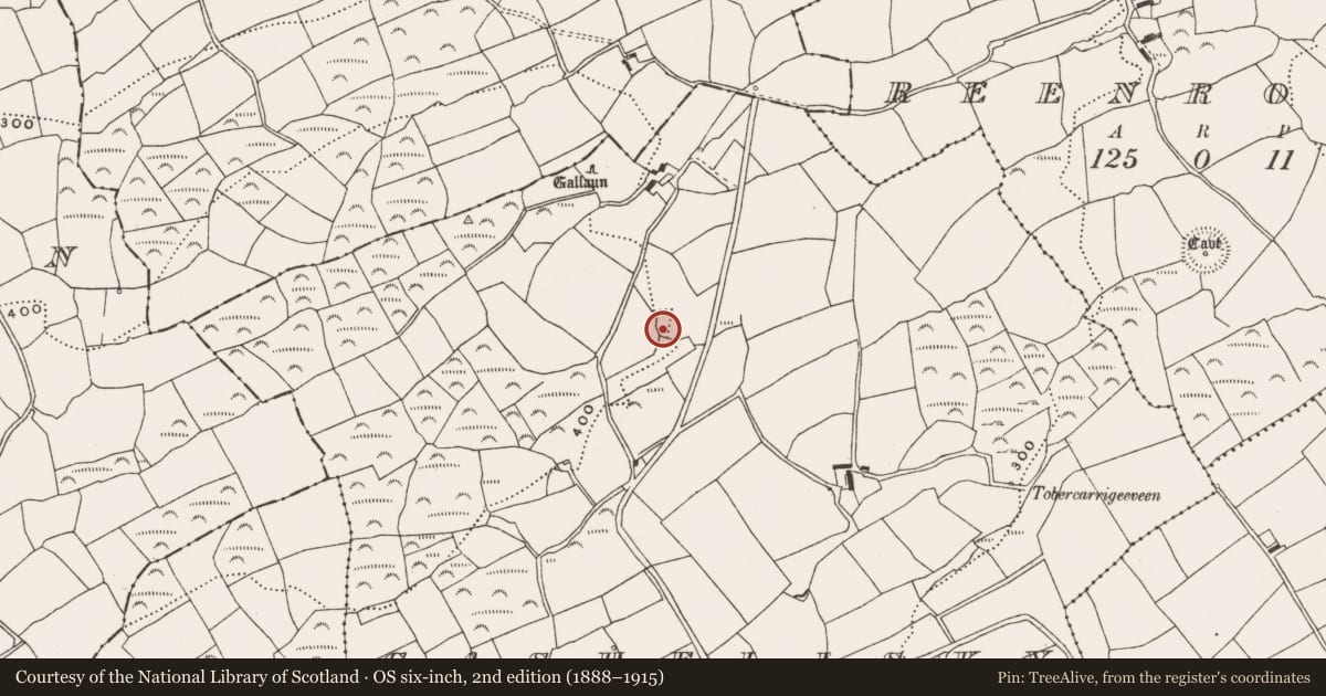 Ordnance Survey six-inch map, 2nd edition (1888–1915) covering the location of Ringfort - rath, Cashelisky, County Cork, with a pin at the register's coordinates