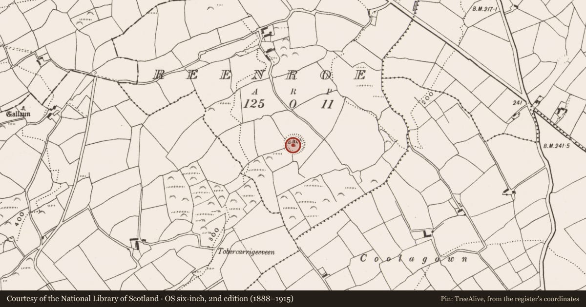 Ordnance Survey six-inch map, 2nd edition (1888–1915) covering the location of Ringfort - rath, Reenroe, County Cork, with a pin at the register's coordinates