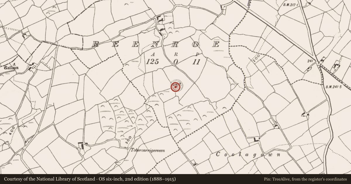 Ordnance Survey six-inch map, 2nd edition (1888–1915) covering the location of Souterrain, Reenroe, County Cork, with a pin at the register's coordinates