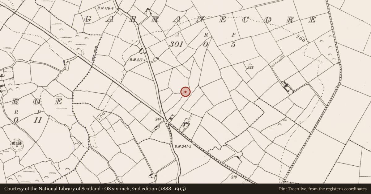 Ordnance Survey six-inch map, 2nd edition (1888–1915) covering the location of Souterrain, Garranecore, County Cork, with a pin at the register's coordinates