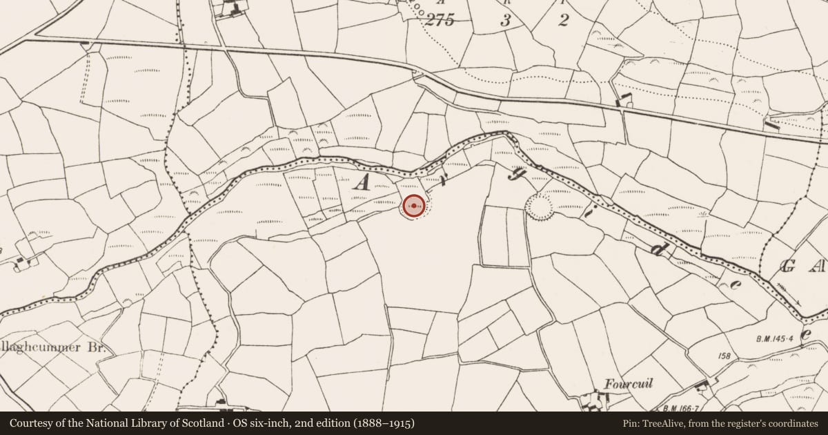 Ordnance Survey six-inch map, 2nd edition (1888–1915) covering the location of Souterrain, Fourcuil, County Cork, with a pin at the register's coordinates
