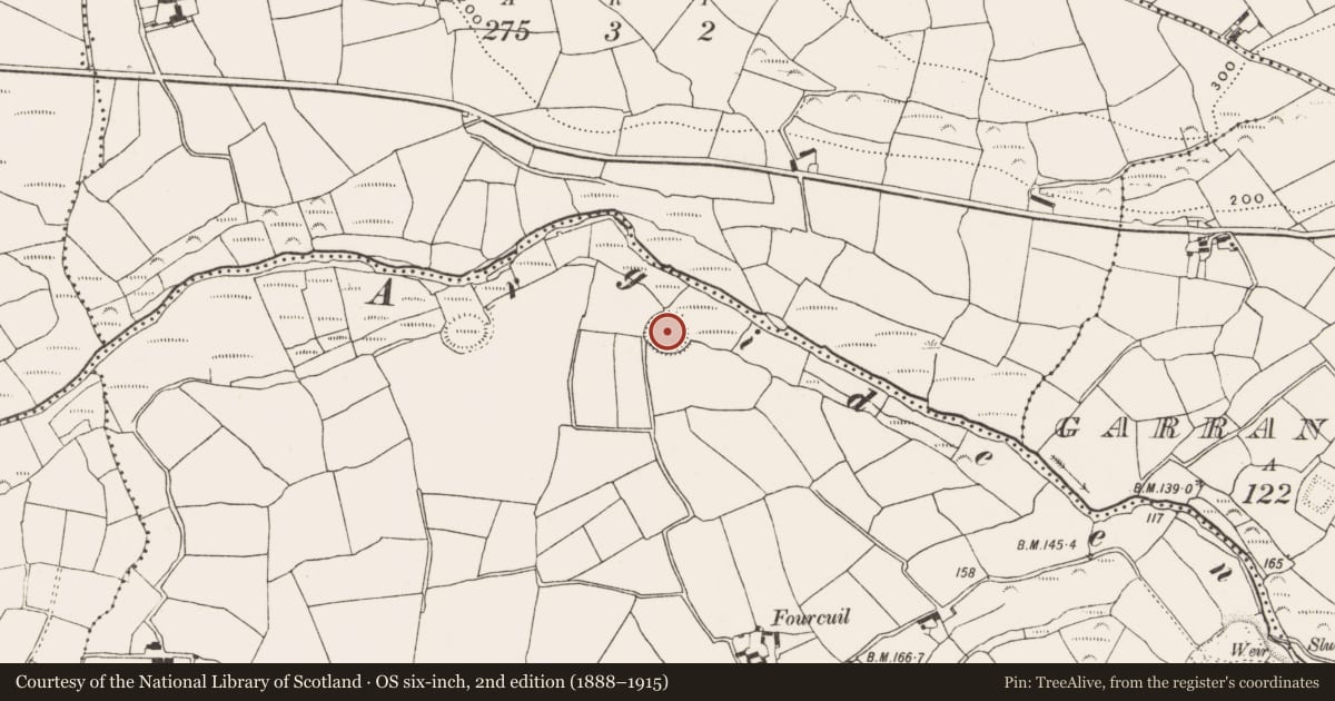 Ordnance Survey six-inch map, 2nd edition (1888–1915) covering the location of Ringfort - rath, Fourcuil, County Cork, with a pin at the register's coordinates