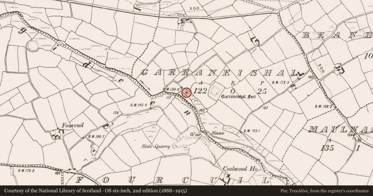 Ordnance Survey six-inch map, 2nd edition (1888–1915) covering the location of Souterrain, Garraneishal, County Cork, with a pin at the register's coordinates