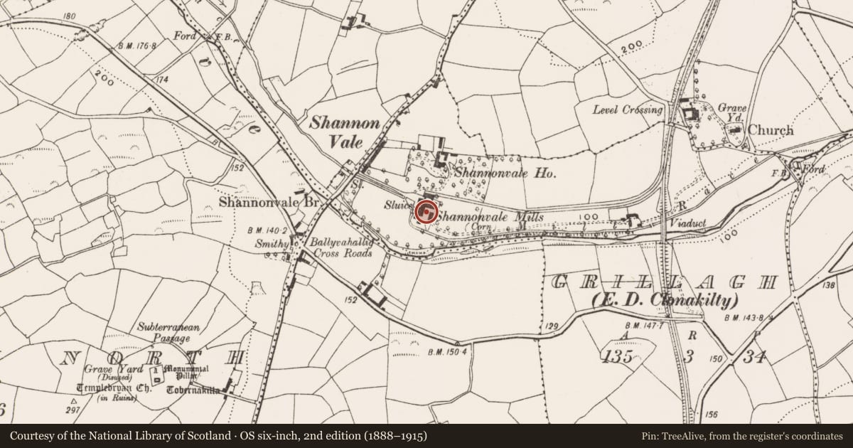 Ordnance Survey six-inch map, 2nd edition (1888–1915) covering the location of Mill - corn, Grillagh (Carbery East By., Kilnagross Par.), County Cork, with a pin at the register's coordinates
