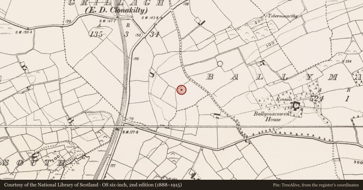 Ordnance Survey six-inch map, 2nd edition (1888–1915) covering the location of Ringfort - rath, Grillagh (Carbery East By., Kilnagross Par.), County Cork, with a pin at the register's coordinates