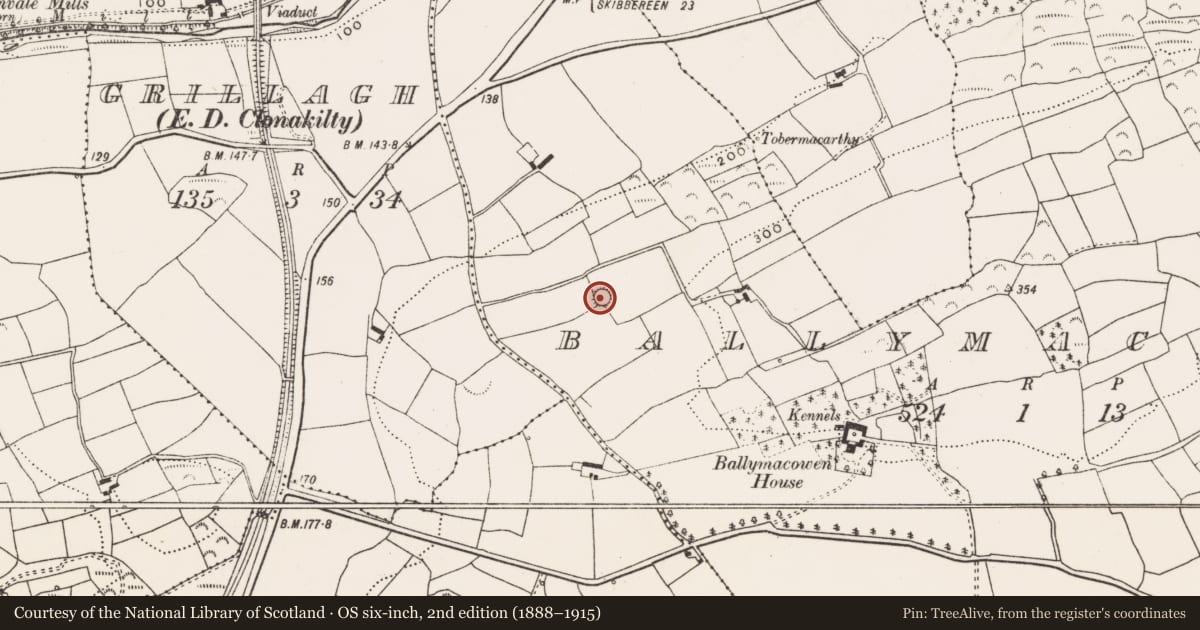 Ordnance Survey six-inch map, 2nd edition (1888–1915) covering the location of Ringfort - rath, Ballymacowen, County Cork, with a pin at the register's coordinates