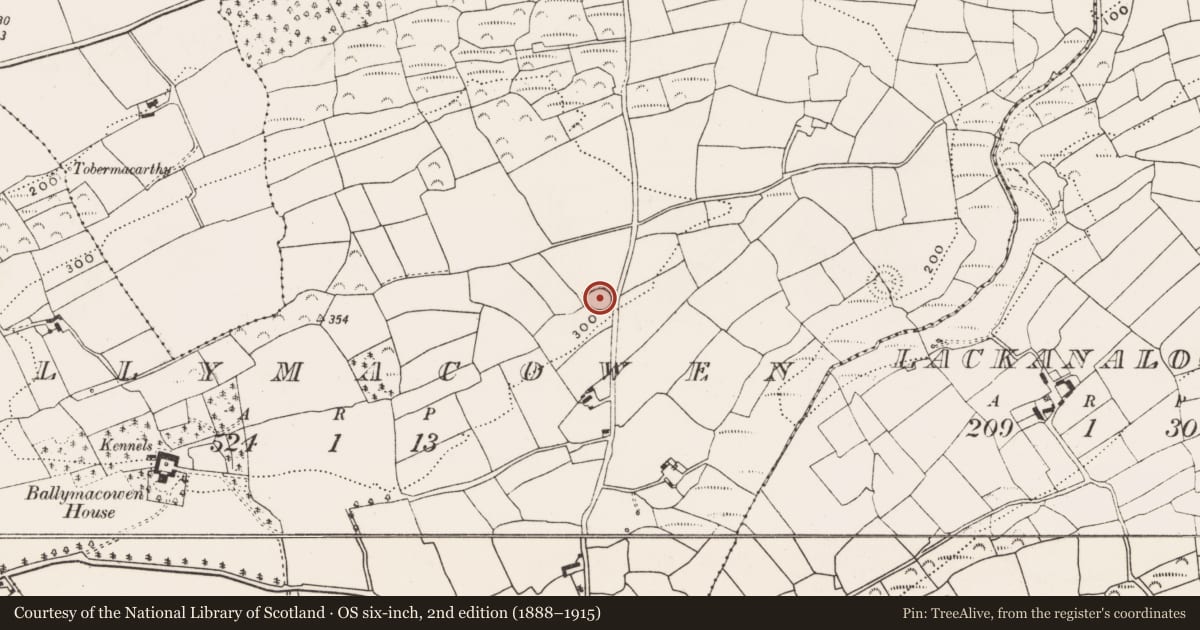 Ordnance Survey six-inch map, 2nd edition (1888–1915) covering the location of Ringfort - rath, Ballymacowen, County Cork, with a pin at the register's coordinates