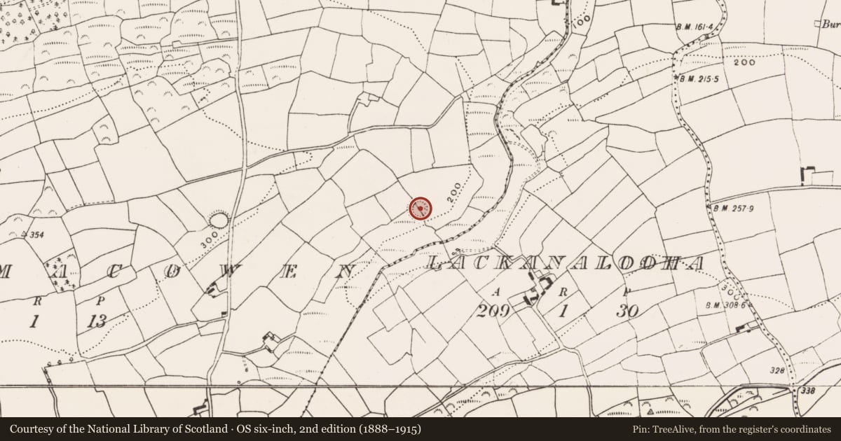 Ordnance Survey six-inch map, 2nd edition (1888–1915) covering the location of Ringfort - rath, Ballymacowen, County Cork, with a pin at the register's coordinates