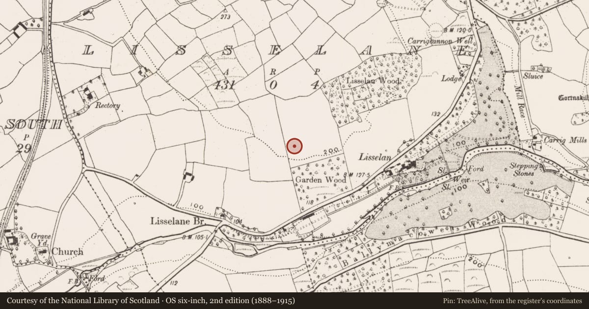 Ordnance Survey six-inch map, 2nd edition (1888–1915) covering the location of Ringfort - rath, Lisselane, County Cork, with a pin at the register's coordinates