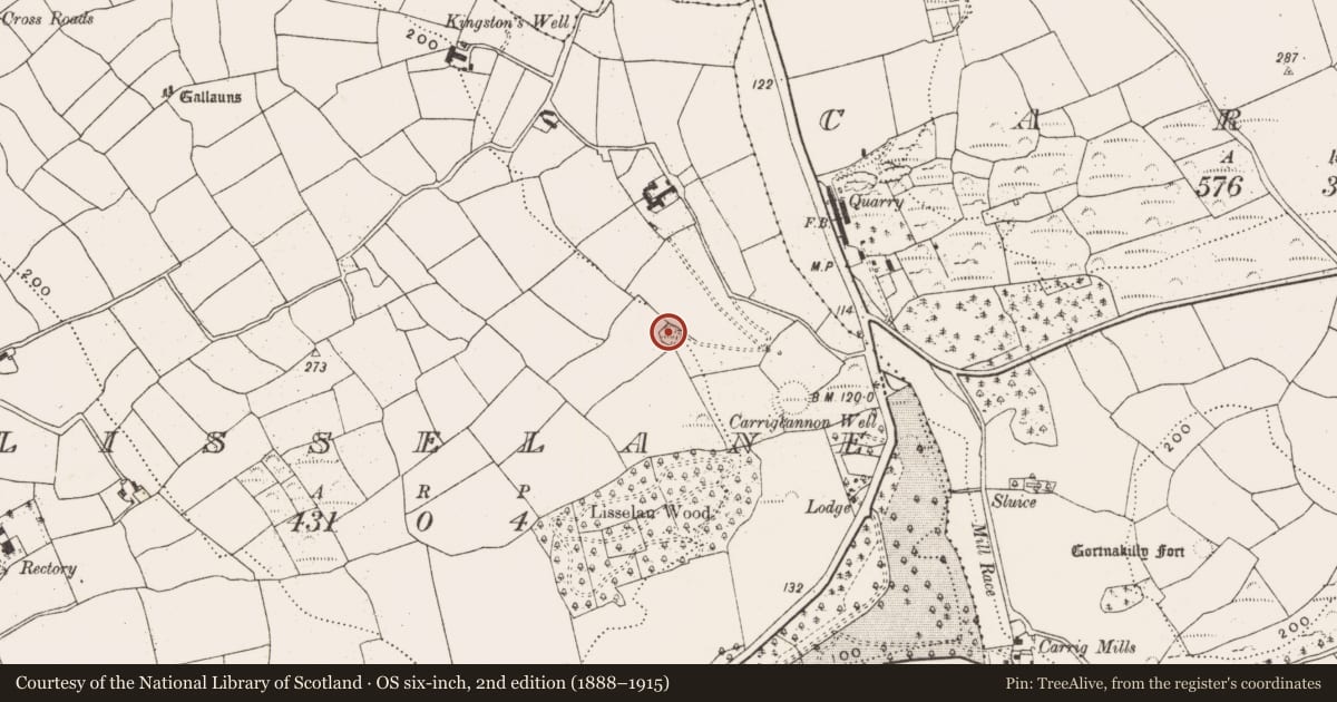 Ordnance Survey six-inch map, 2nd edition (1888–1915) covering the location of Ringfort - rath, Lisselane, County Cork, with a pin at the register's coordinates