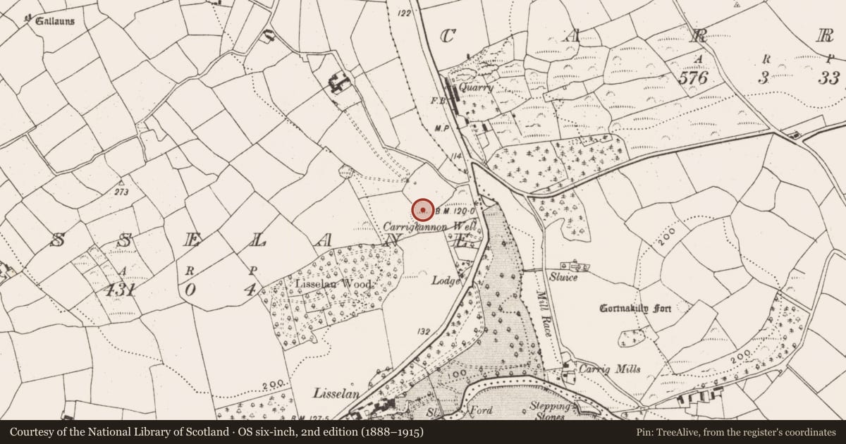 Ordnance Survey six-inch map, 2nd edition (1888–1915) covering the location of Ringfort - rath, Lisselane, County Cork, with a pin at the register's coordinates