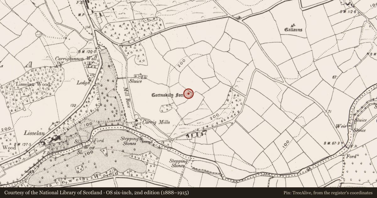 Ordnance Survey six-inch map, 2nd edition (1888–1915) covering the location of Ringfort - rath, Carrig (Carbery East By., Templequinlan Par.), County Cork, with a pin at the register's coordinates