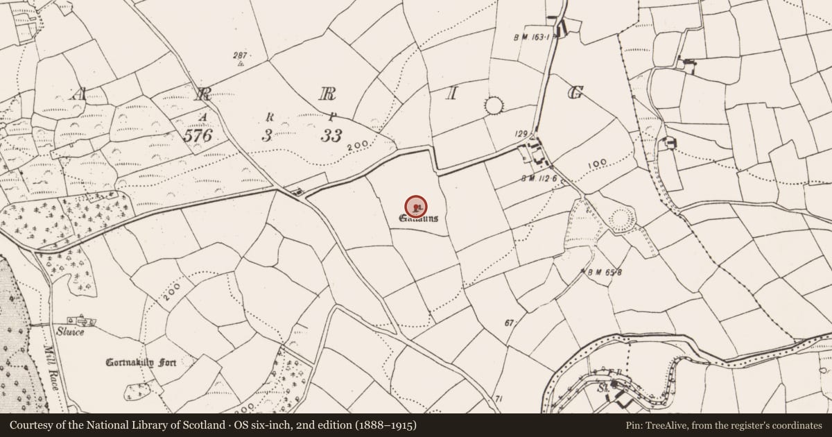 Ordnance Survey six-inch map, 2nd edition (1888–1915) covering the location of Standing stone - pair, Carrig (Carbery East By., Templequinlan Par.), County Cork, with a pin at the register's coordinates