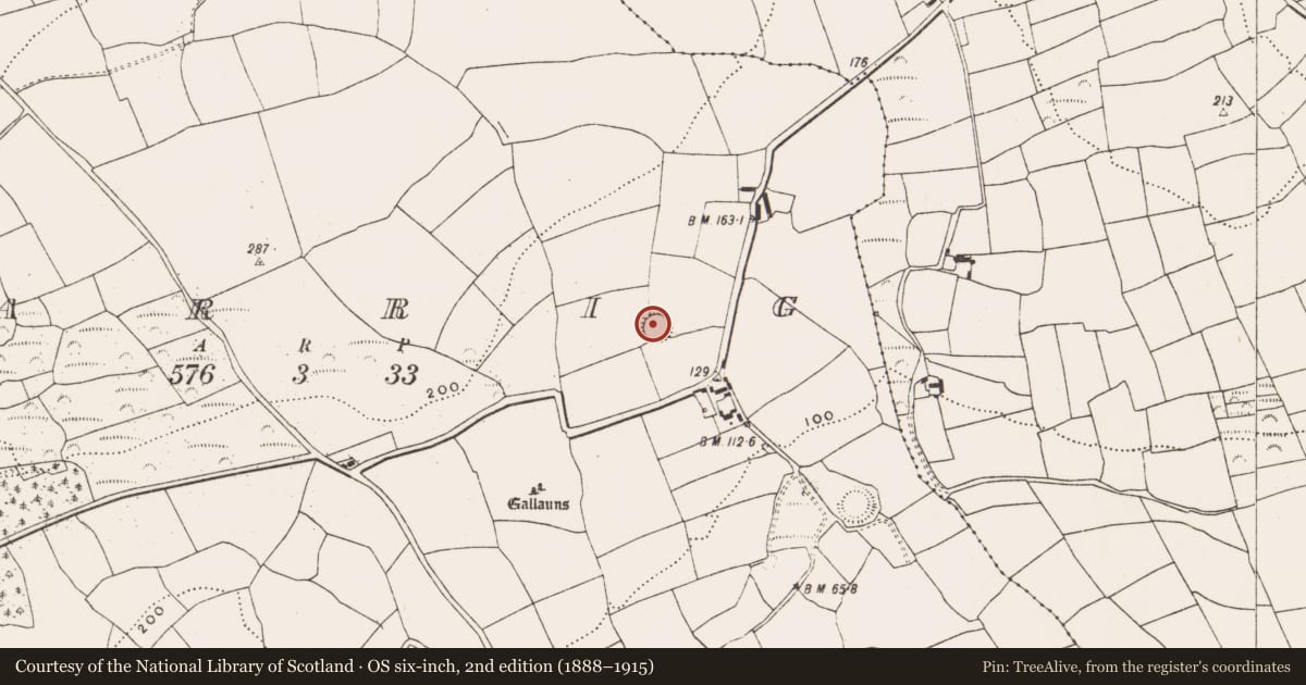 Ordnance Survey six-inch map, 2nd edition (1888–1915) covering the location of Ringfort - rath, Carrig (Carbery East By., Kilmaloda Par.), County Cork, with a pin at the register's coordinates