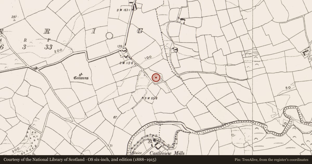 Ordnance Survey six-inch map, 2nd edition (1888–1915) covering the location of Ringfort - rath, Carrig (Carbery East By., Kilmaloda Par.), County Cork, with a pin at the register's coordinates
