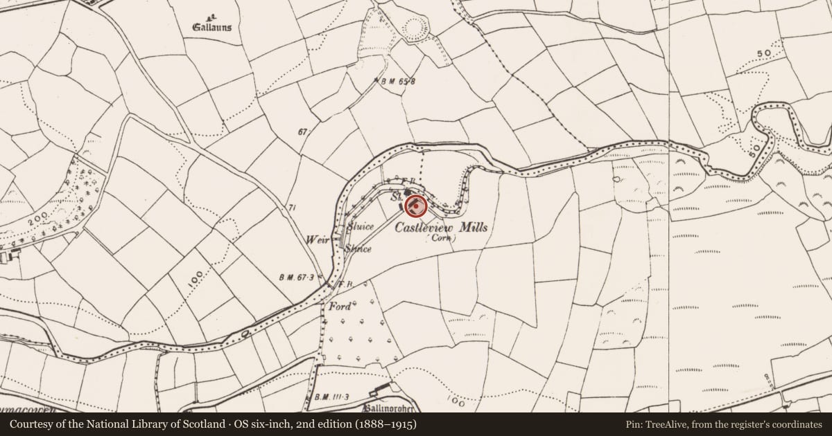 Ordnance Survey six-inch map, 2nd edition (1888–1915) covering the location of Mill - corn, Ballinoroher (Carbery E. By., Templequinlan Par.), County Cork, with a pin at the register's coordinates