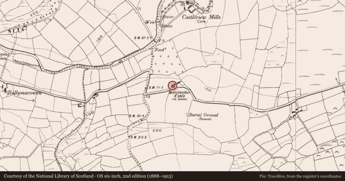 Ordnance Survey six-inch map, 2nd edition (1888–1915) covering the location of Castle - tower house, Ballinoroher (Carbery E. By., Templequinlan Par.), County Cork, with a pin at the register's coordinates