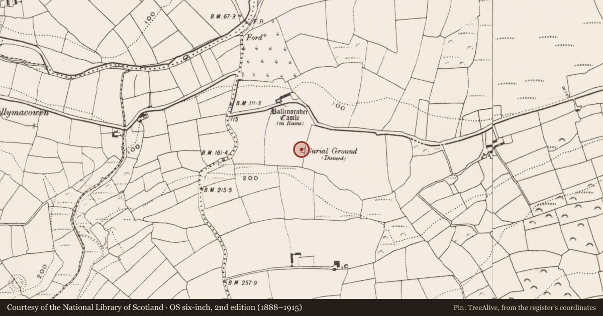 Ordnance Survey six-inch map, 2nd edition (1888–1915) covering the location of Burial ground, Ballinoroher (Carbery E. By., Templequinlan Par.), County Cork, with a pin at the register's coordinates