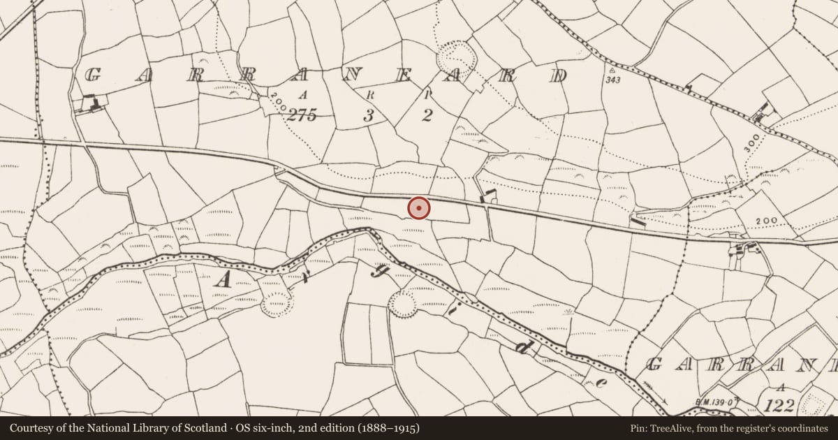 Ordnance Survey six-inch map, 2nd edition (1888–1915) covering the location of Enclosure, Garraneard, County Cork, with a pin at the register's coordinates