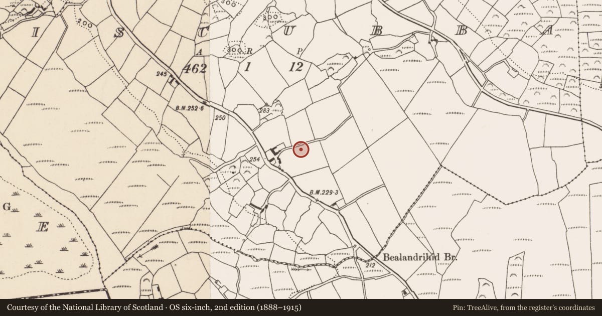 Ordnance Survey six-inch map, 2nd edition (1888–1915) covering the location of Country house, Liscubba, County Cork, with a pin at the register's coordinates