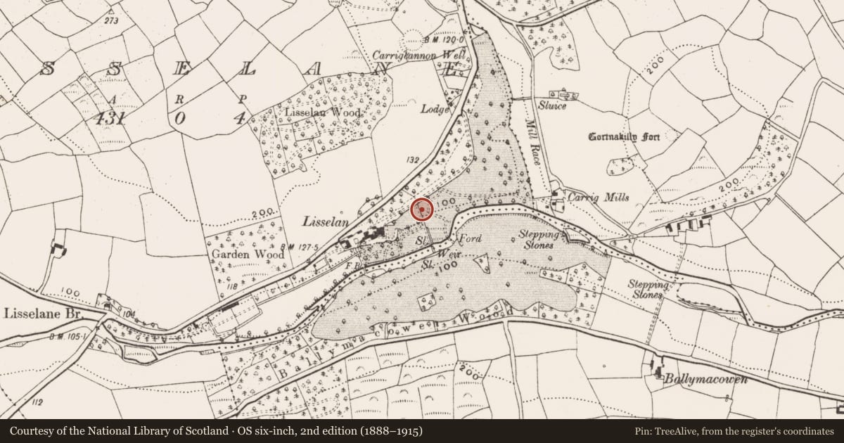 Ordnance Survey six-inch map, 2nd edition (1888–1915) covering the location of Mill - unclassified, Lisselane, County Cork, with a pin at the register's coordinates