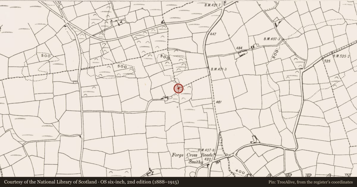 Ordnance Survey six-inch map, 2nd edition (1888–1915) covering the location of Church, Knocks, County Cork, with a pin at the register's coordinates