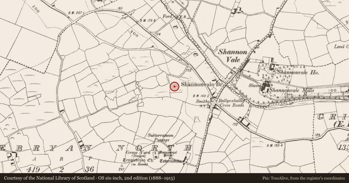 Ordnance Survey six-inch map, 2nd edition (1888–1915) covering the location of Cross-inscribed stone, Templebryan North, County Cork, with a pin at the register's coordinates