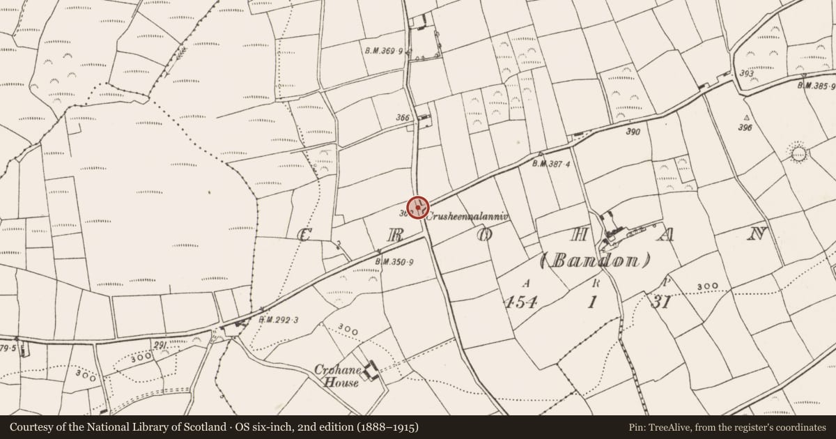 Ordnance Survey six-inch map, 2nd edition (1888–1915) covering the location of Burial ground, Crohane (Bandon) (Carbery East By., Kilnagross Par.), County Cork, with a pin at the register's coordinates
