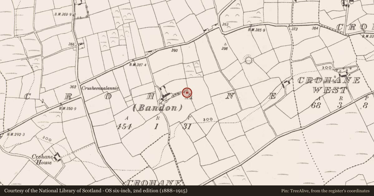 Ordnance Survey six-inch map, 2nd edition (1888–1915) covering the location of Fulacht fia, Crohane (Carbery East By., Kilnagross Par.), County Cork, with a pin at the register's coordinates