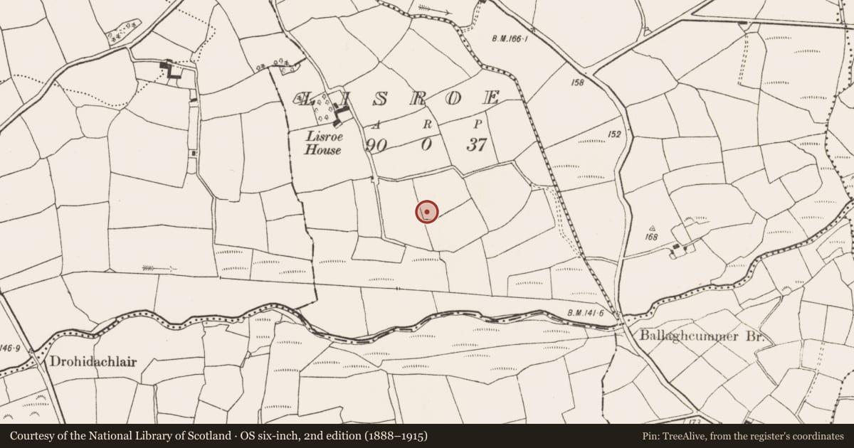Ordnance Survey six-inch map, 2nd edition (1888–1915) covering the location of Souterrain, Lisroe, County Cork, with a pin at the register's coordinates