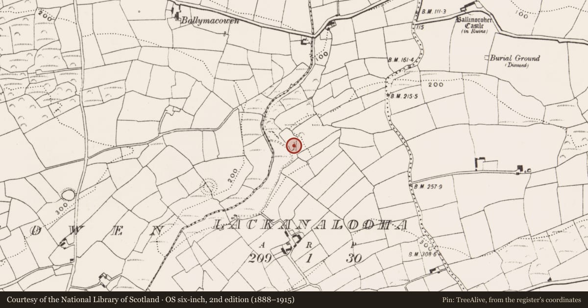 Ordnance Survey six-inch map, 2nd edition (1888–1915) covering the location of Fulacht fia, Lackanalooha, County Cork, with a pin at the register's coordinates