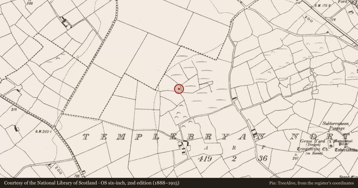 Ordnance Survey six-inch map, 2nd edition (1888–1915) covering the location of Burnt mound, Templebryan North, County Cork, with a pin at the register's coordinates