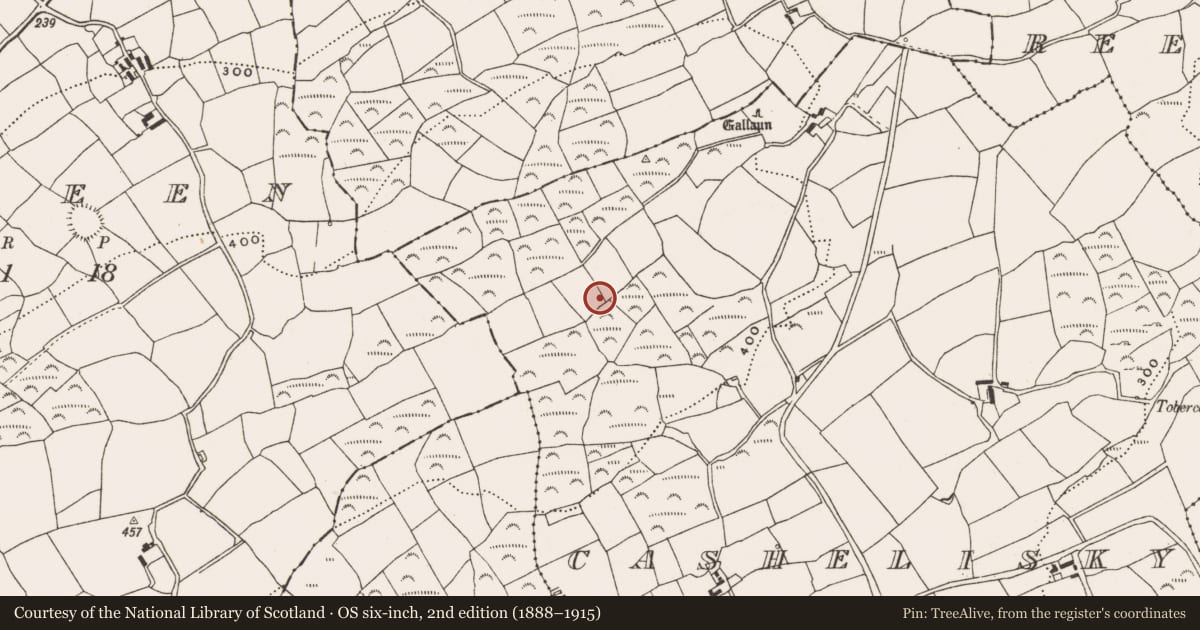 Ordnance Survey six-inch map, 2nd edition (1888–1915) covering the location of Standing stone, Cashelisky, County Cork, with a pin at the register's coordinates