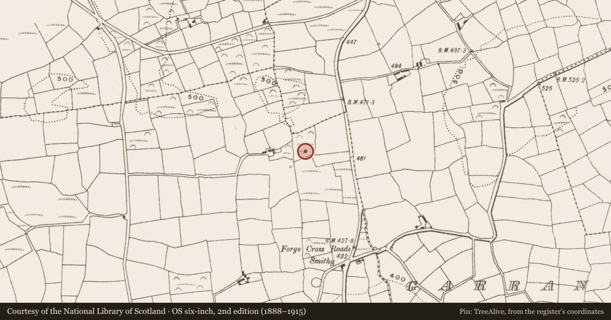 Ordnance Survey six-inch map, 2nd edition (1888–1915) covering the location of Hut site, Knocks, County Cork, with a pin at the register's coordinates