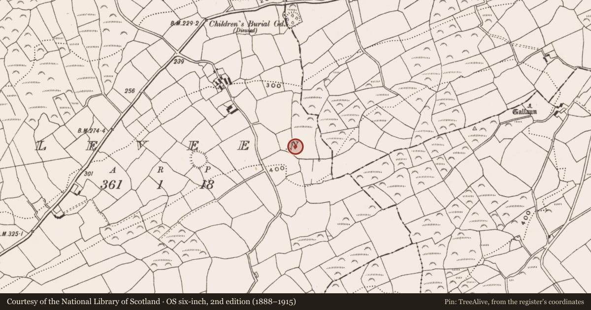 Ordnance Survey six-inch map, 2nd edition (1888–1915) covering the location of Enclosure, Sleveen, County Cork, with a pin at the register's coordinates