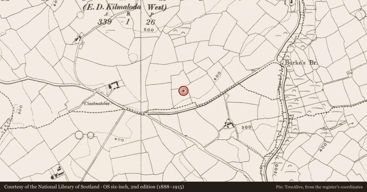 Ordnance Survey six-inch map, 2nd edition (1888–1915) covering the location of Ringfort - rath, Maulrour, County Cork, with a pin at the register's coordinates