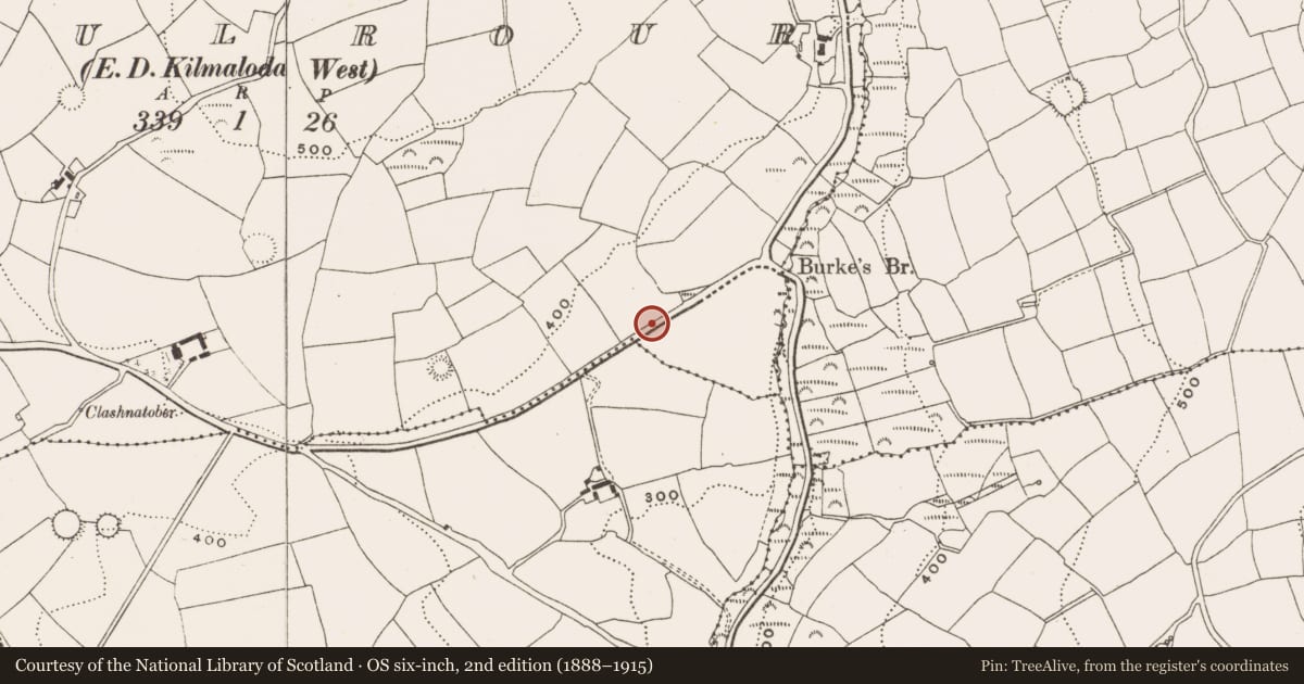 Ordnance Survey six-inch map, 2nd edition (1888–1915) covering the location of Ringfort - rath, Maulrour, County Cork, with a pin at the register's coordinates