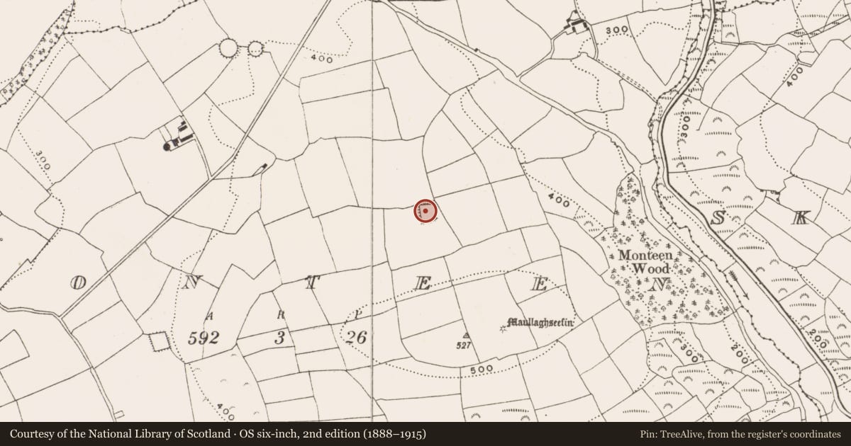 Ordnance Survey six-inch map, 2nd edition (1888–1915) covering the location of Moated site, Monteen, County Cork, with a pin at the register's coordinates