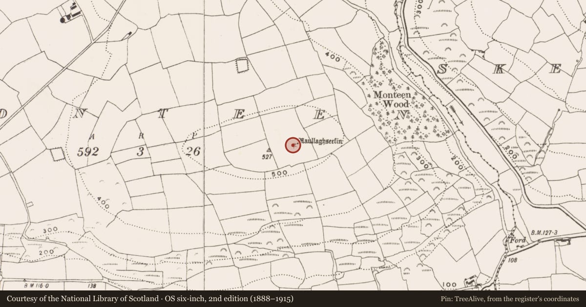 Ordnance Survey six-inch map, 2nd edition (1888–1915) covering the location of Barrow - mound barrow, Monteen, County Cork, with a pin at the register's coordinates