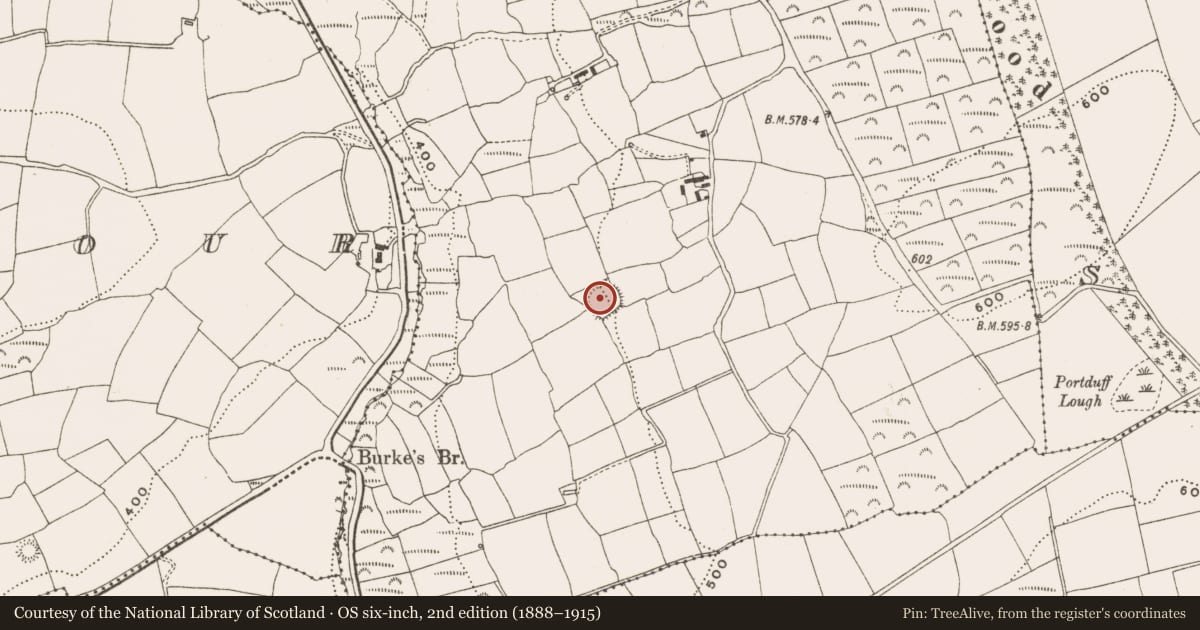 Ordnance Survey six-inch map, 2nd edition (1888–1915) covering the location of Ringfort - rath, Farran, County Cork, with a pin at the register's coordinates