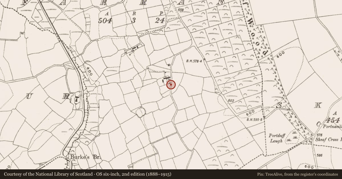 Ordnance Survey six-inch map, 2nd edition (1888–1915) covering the location of Souterrain, Farran, County Cork, with a pin at the register's coordinates